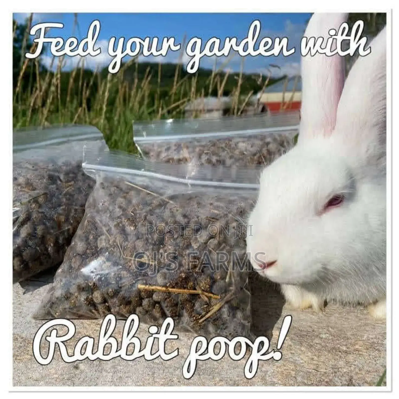 Rabbit Manure