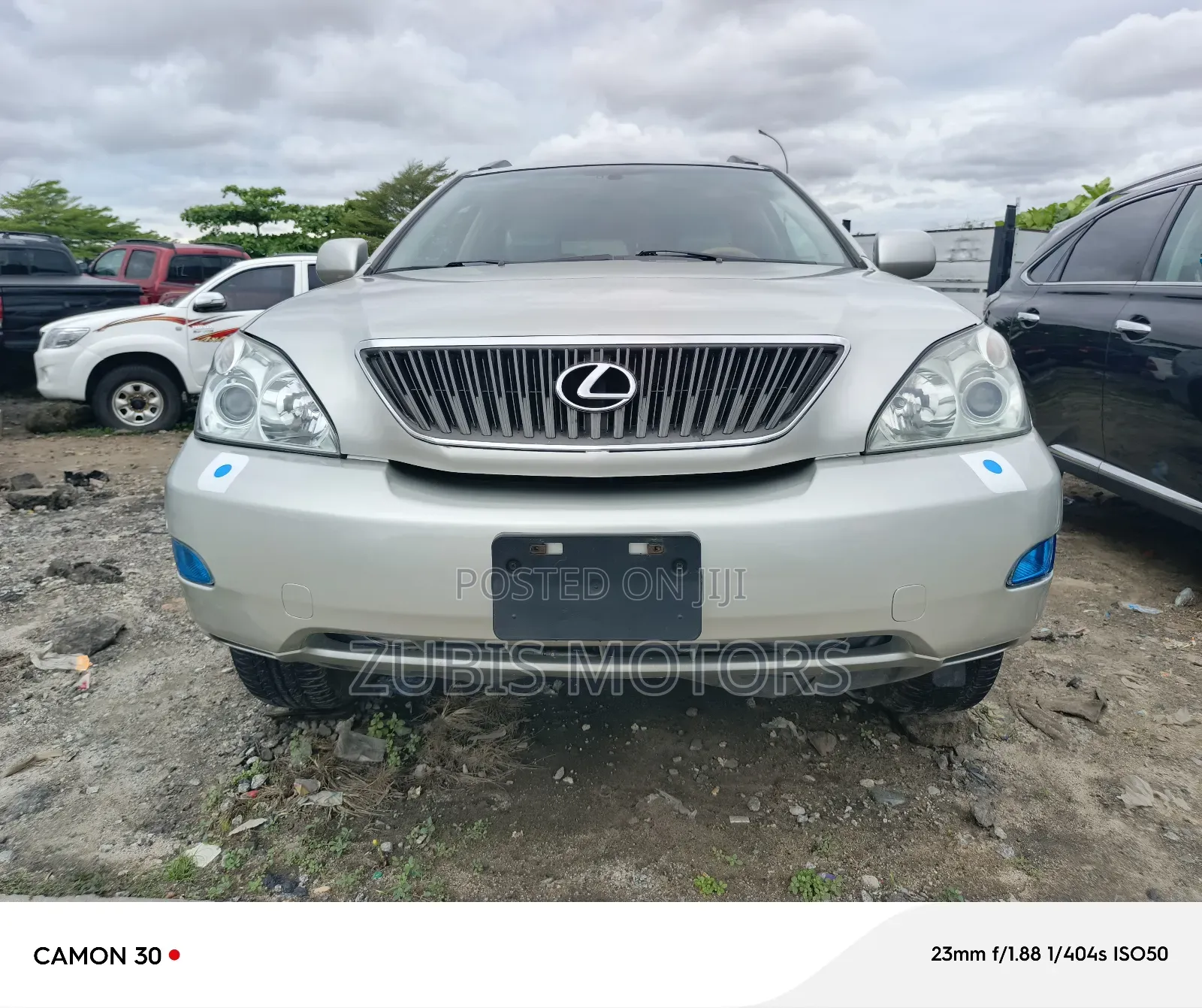 Lexus RX 330 2005 Silver