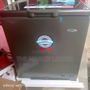 Haier Thermocool SML HTF-150 SLV