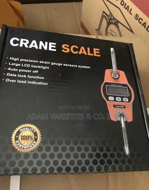 300kg Crane Scale