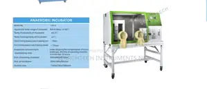 Anaerobic Incubator