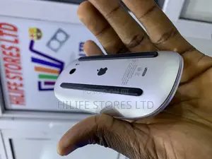 Magic Mouse 2