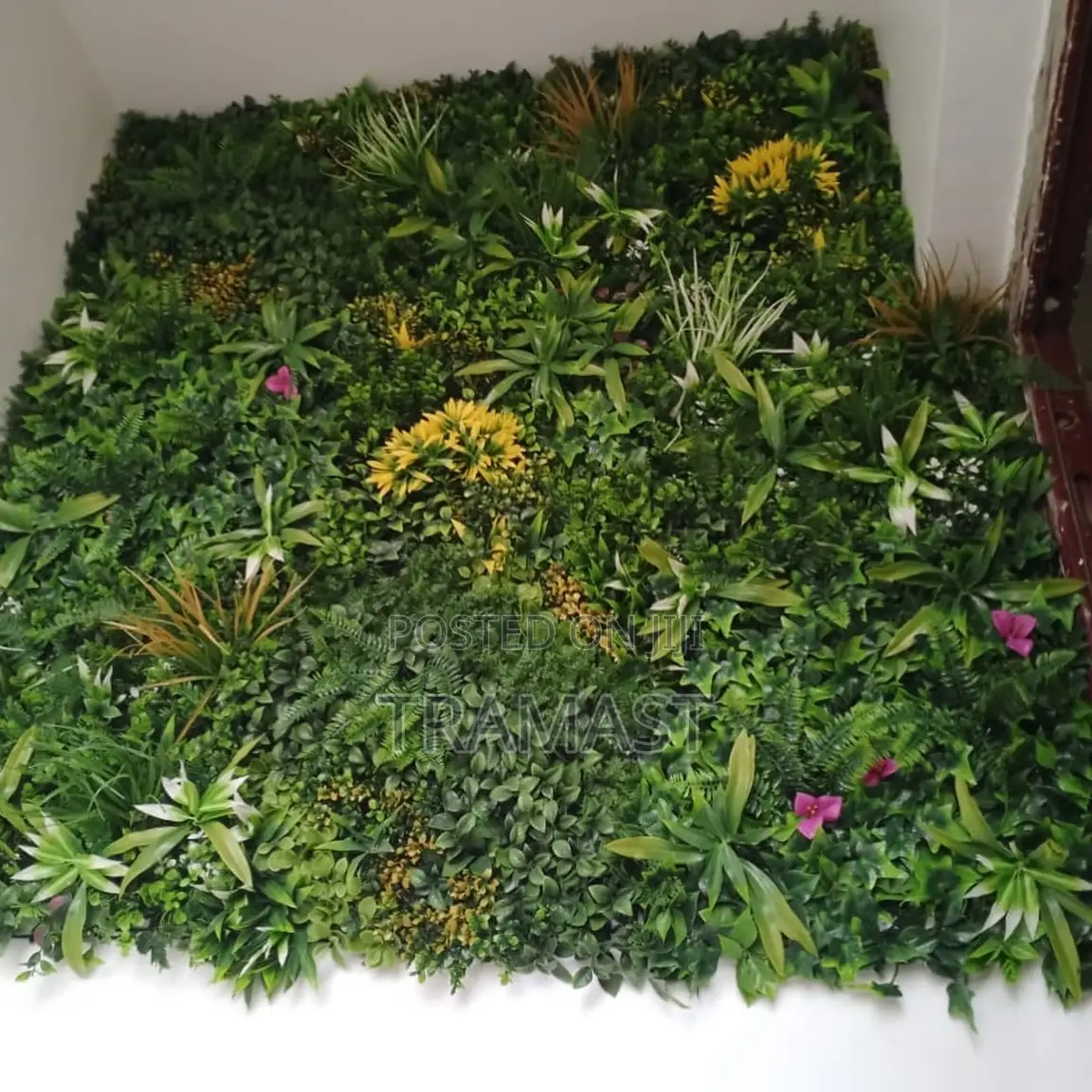 Boxwood Wall Mat for Beautification