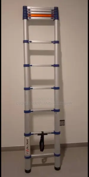 Straight Aluminum Telescopic Ladder 2.6M