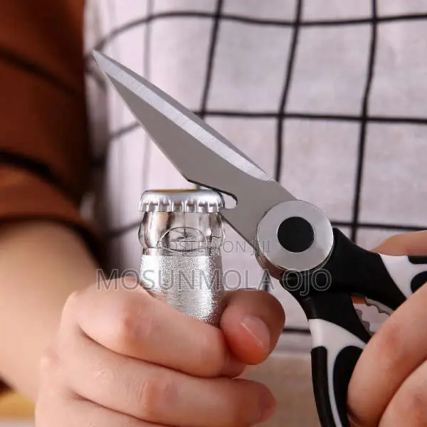 Stainless Steel Scissors