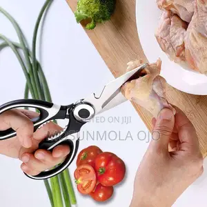 Stainless Steel Scissors