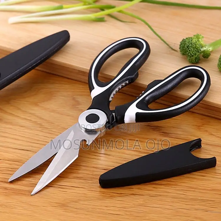 Stainless Steel Scissors