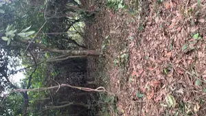 2 Acres of Fenced Land