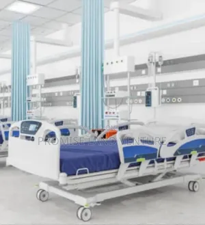 Multi Functions Electric Hospital Bed