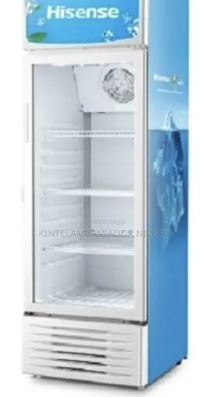Hisense Chiler - 382L -FL 50FC