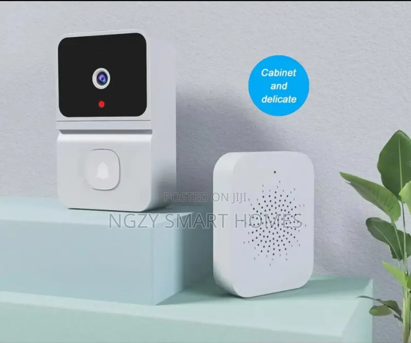 Tuya Video and Camera Doorbell