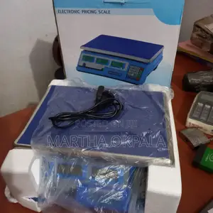 Camry Digital Weighing Scale