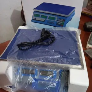 Camry Digital Weighing Scale