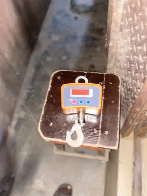 Crane Digital Hanging Scale - 500kg