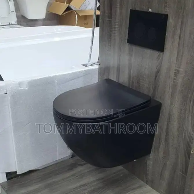 Black Wall Hung Wc