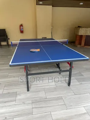 Outdoor Table Tennis