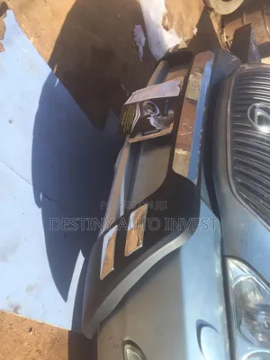 Brush Guard for RX330