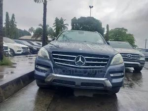 Mercedes-Benz M Class 2013 Gray