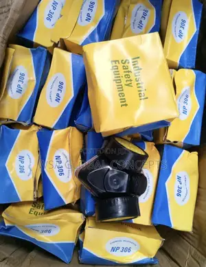 NP 306 Chemical Respirator Industrial Safety Equipment