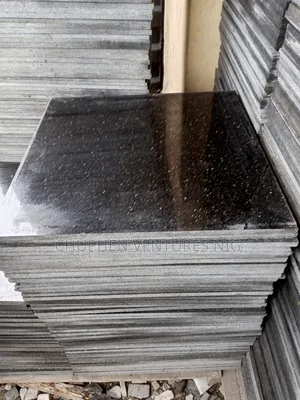 Black Galaxy 60by60 1.2 Cm Tickness Granite Tiles