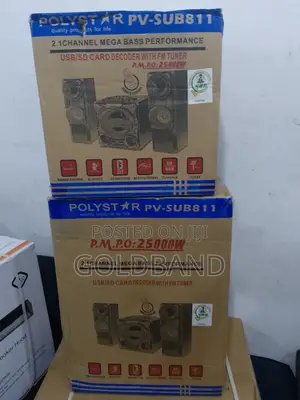 2.1ch Polystar Home Theater Systems (25000w) Pv-Sub811