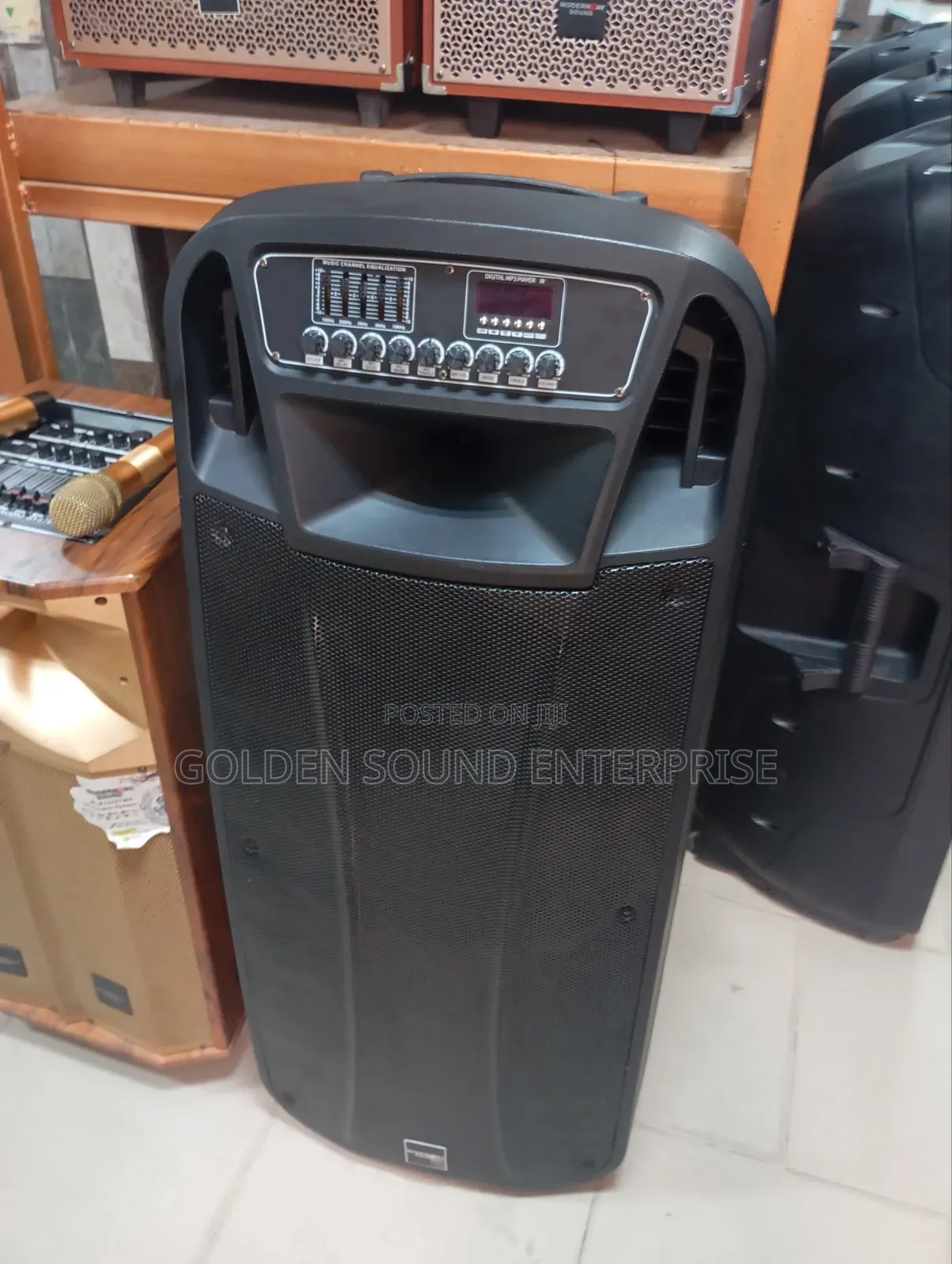 Professional Modernday P a System 15 Inches Double