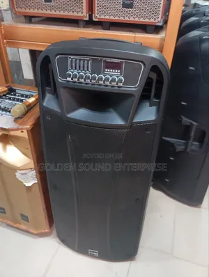 Professional Modernday P a System 15 Inches Double