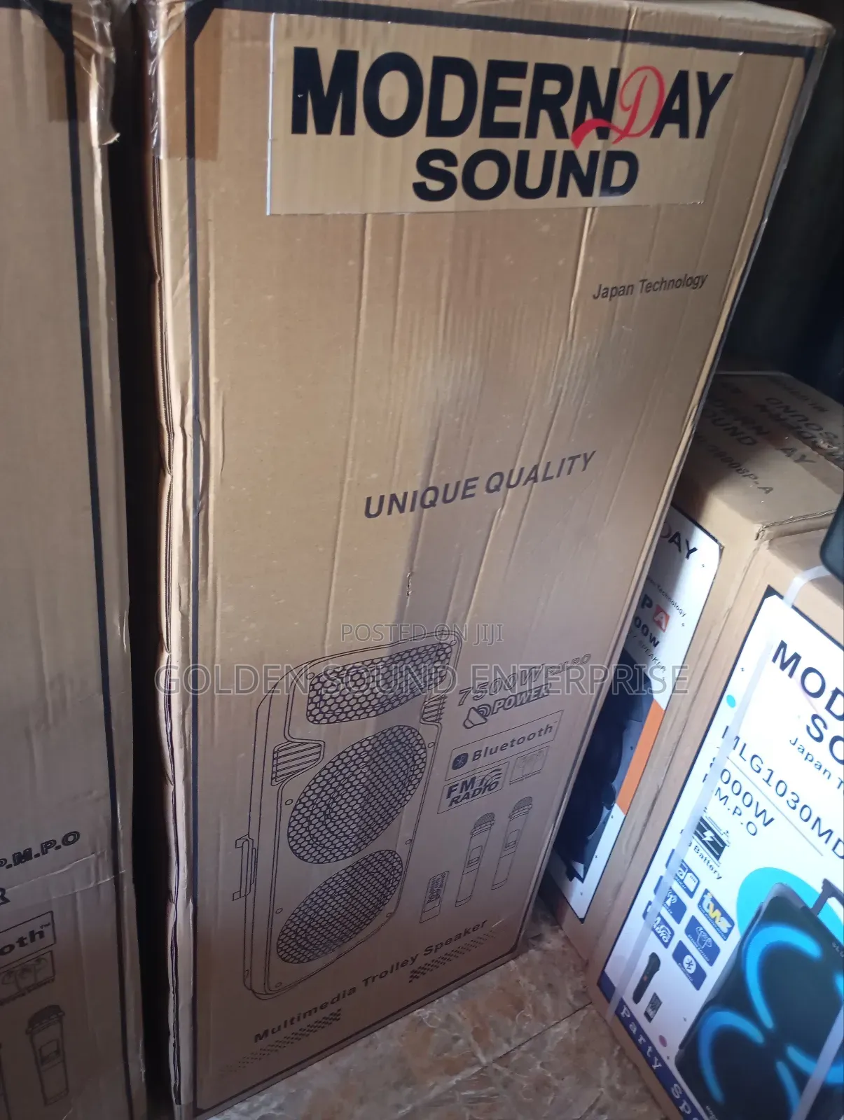Professional Modernday P a System 15 Inches Double