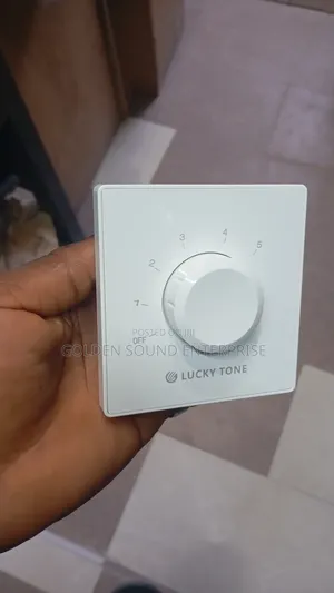 Lucky Tone Volume Control Stereo
