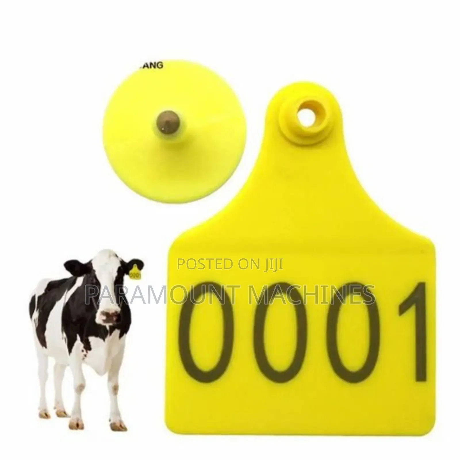 Cow Ear Tag