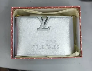 Louis Vuitton Luxury Ladies Handbags