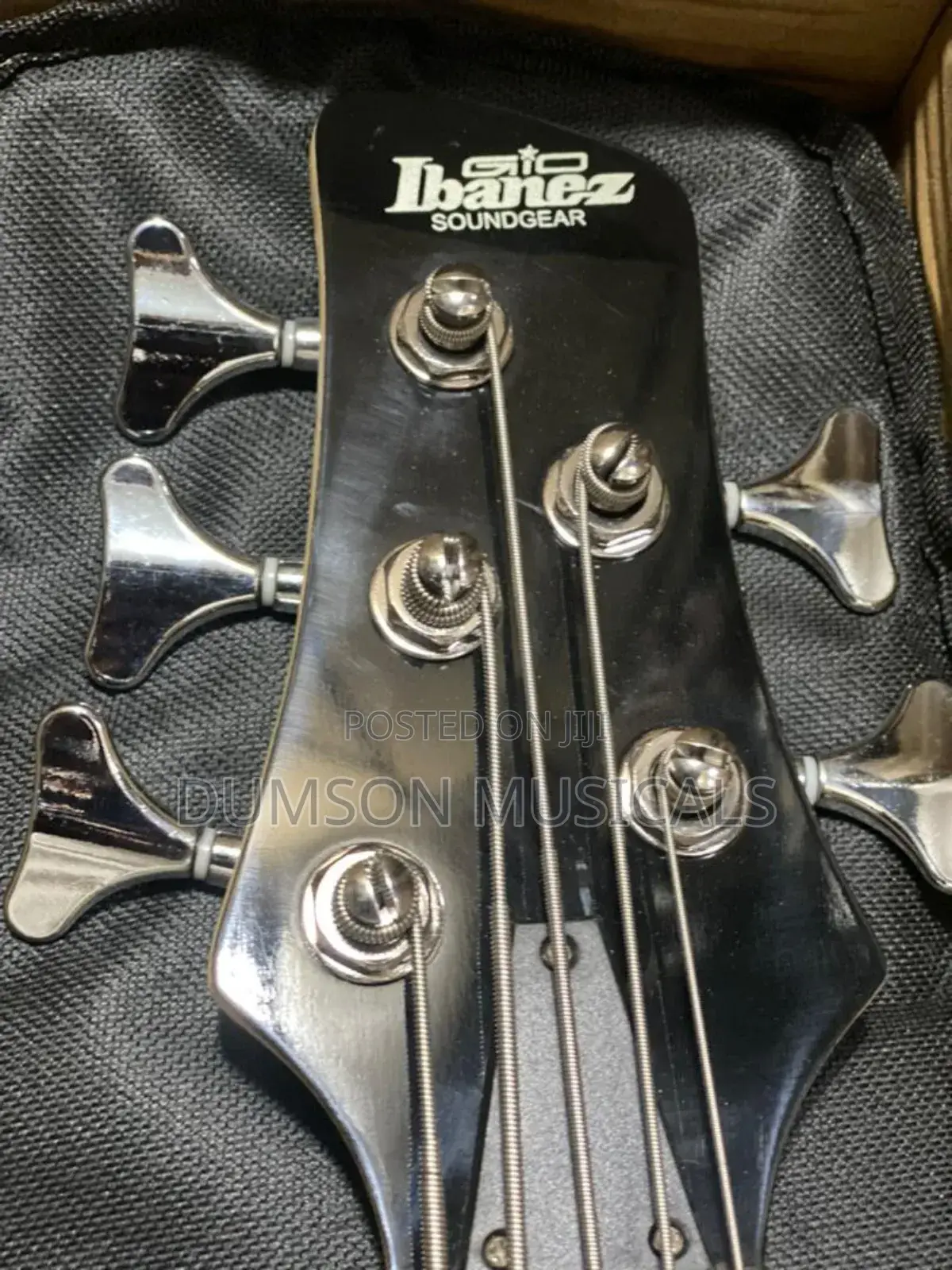 Active Ibanze 5 Strings Bass Guitar