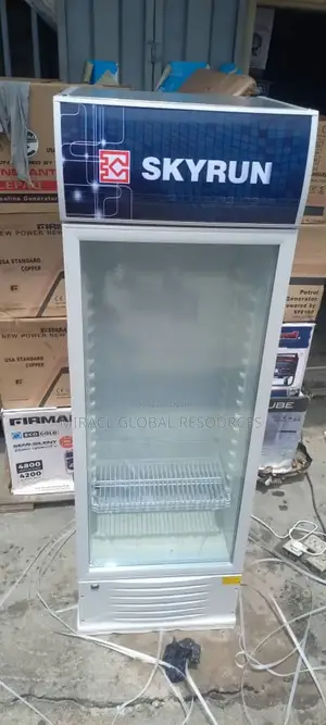 Skyrun Standing Sheila 500l Inverter