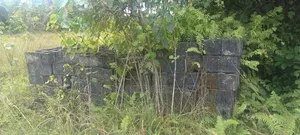 Dey Virgin Land for Sale