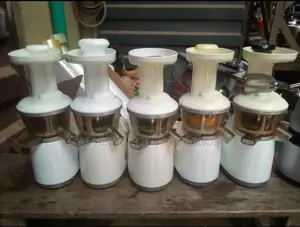 Slow Juicer