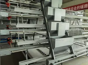 Fully Automated Battery Cage Dealer in Nigeria