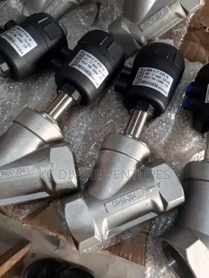 DN65 Stainless Angle Valve