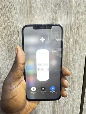 Apple iPhone 12 Pro Max 128 GB Gray