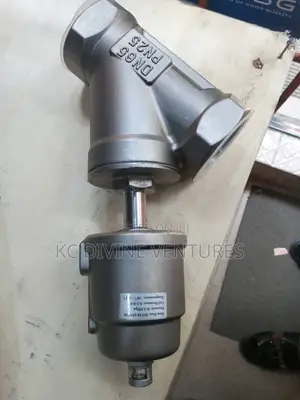 DN 65 Stainless Angle Valve
