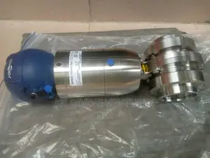 DN 65 Pneumatic Valve