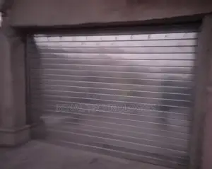 Dynamic Roller Garage Door Solutions
