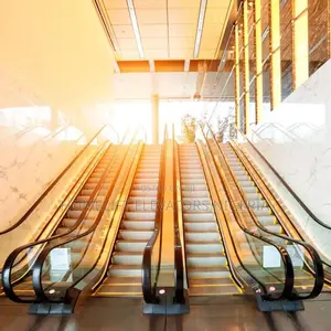 Parallel and Multiple Parallel Escalators