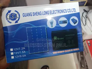 Wei Sheng Ups Battery