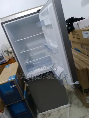 The Good Hisense 29DCA Bottom Freezer (Top Quality)