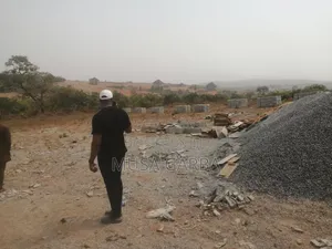 Budget-Friendly Plot