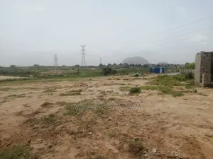 Budget-Friendly Plot