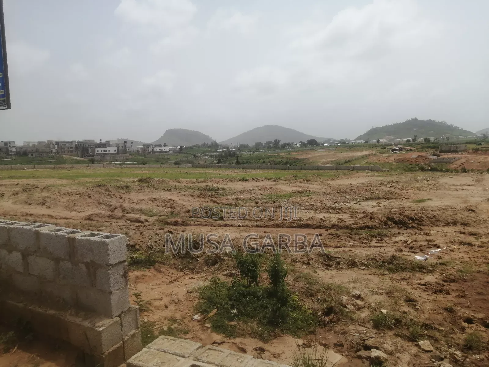 Budget-Friendly Plot
