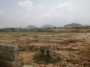 Budget-Friendly Plot