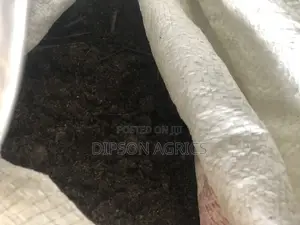 Rabbit Poop