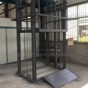 Electric Good Lifter 1000kg